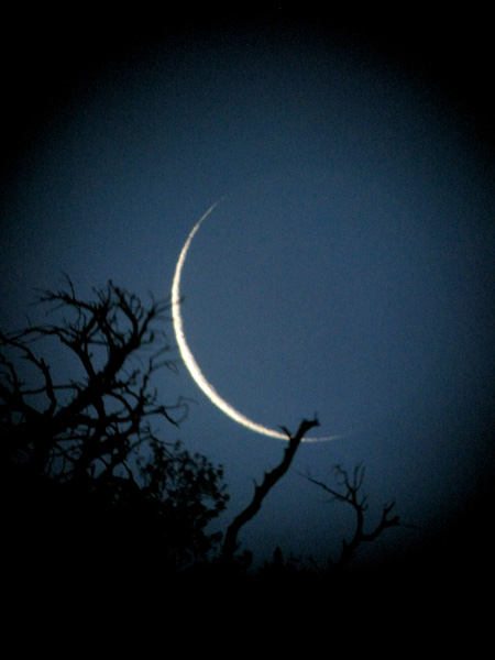 A slim crescent moon setting: a treat to behold while setting up for an all night Messier Marathon at the VIS at 9200 feet.